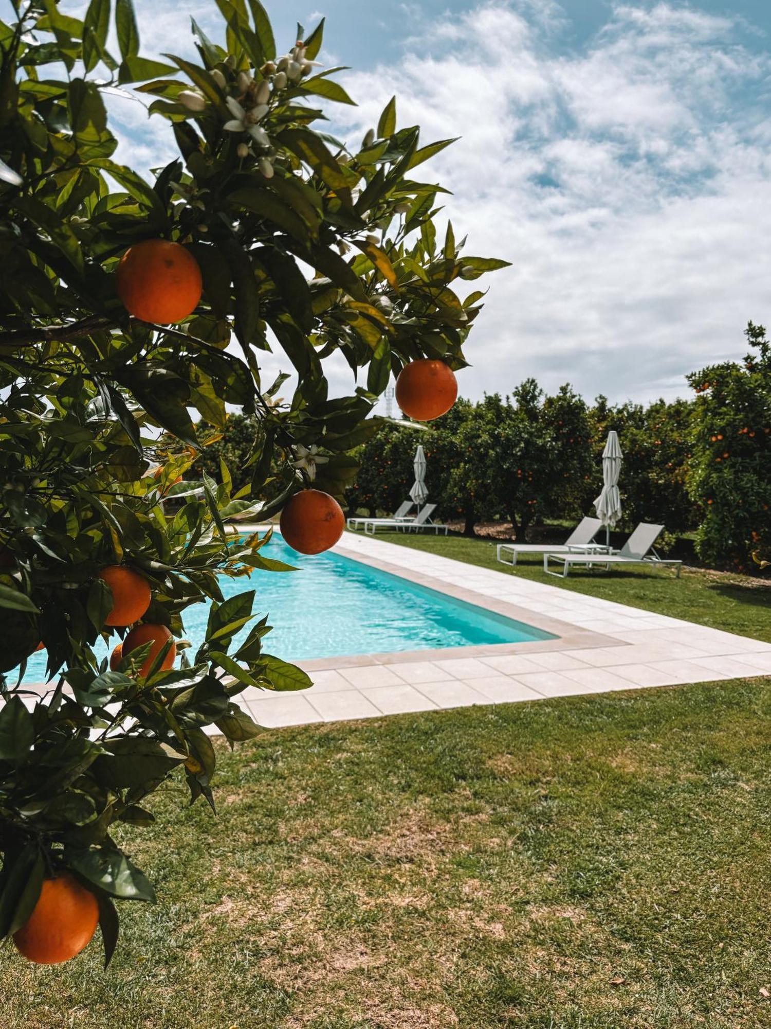Quinta Dos Perfumes Βίλα Ταβίρα Εξωτερικό φωτογραφία